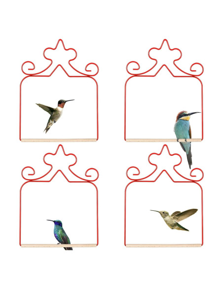 Paquete de 4 columpios para colibríes Eyrosa, rojos, 11.4 cm