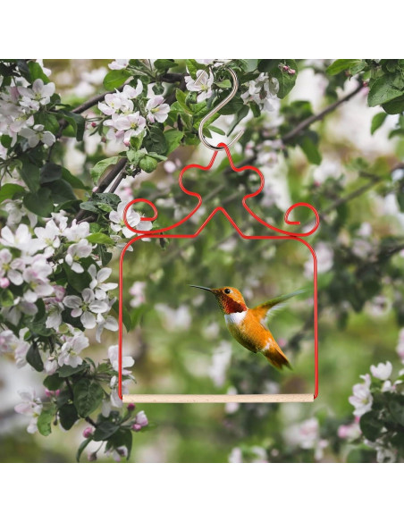 Paquete de 4 columpios para colibríes Eyrosa, rojos, 11.4 cm