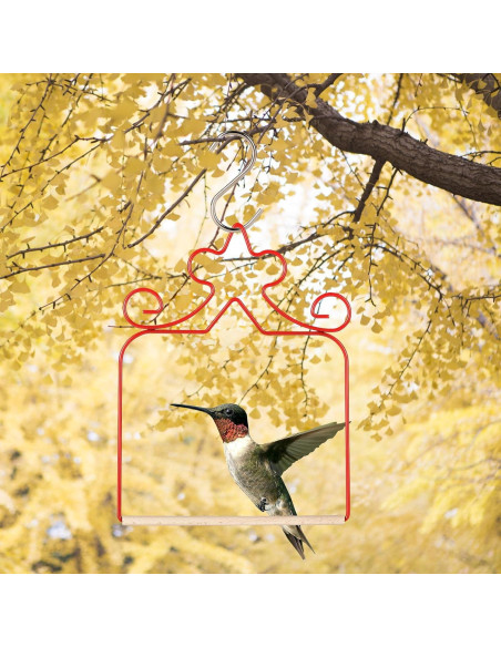 Paquete de 4 columpios para colibríes Eyrosa, rojos, 11.4 cm