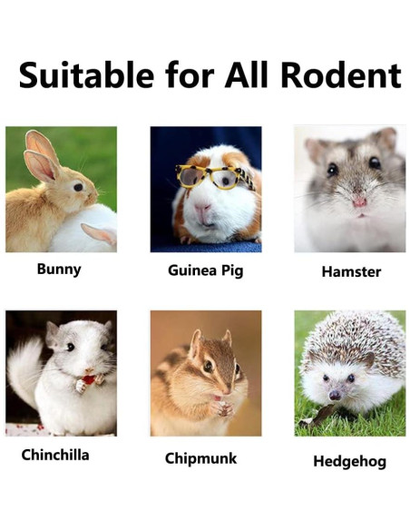 Juguetes de golosinas para roedores TANOMA - 11 piezas