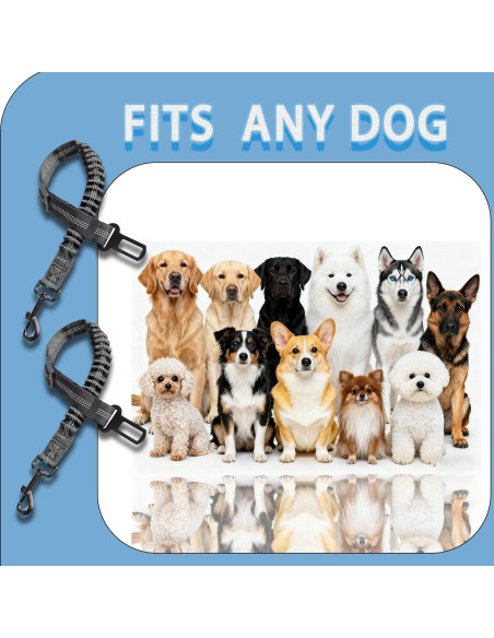 Cinturón de Seguridad para Perros Gobelieve 2-Pack Ajustable