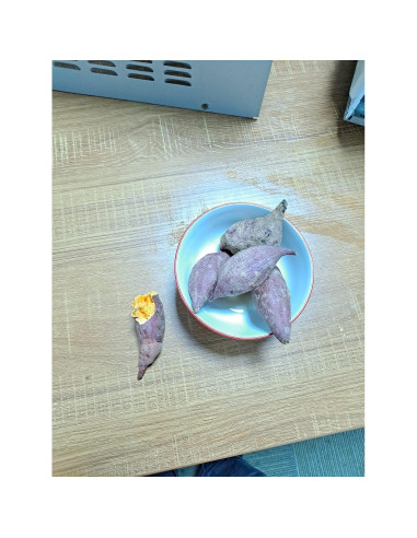 Diodo de alta tensión de microondas BlueNatHxRPR 12KV 450mA 2 PCS