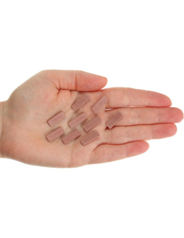 1000 Ladrillos Miniatura Rojos para Manualidades REDUCIO!