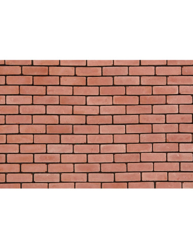 1000 Ladrillos Miniatura Rojos para Manualidades REDUCIO!