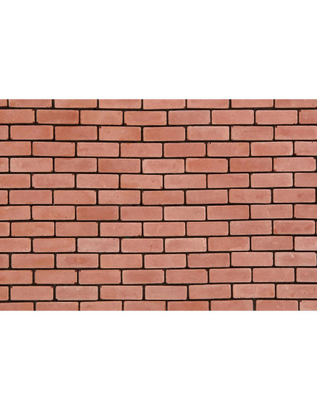 1000 Ladrillos Miniatura Rojos para Manualidades REDUCIO!