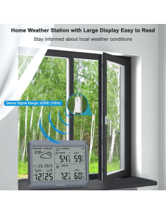 Estación Meteorológica DreamSky DS23W1 Inalámbrica con Termómetro y Higrómetro 2