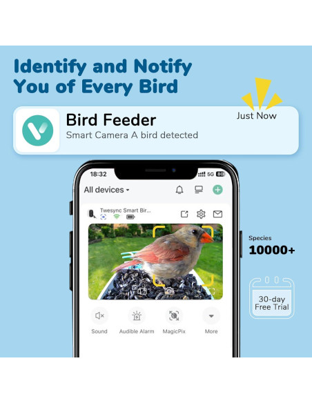 Comedero para Aves Twesync con Cámara 2K HD y Panel Solar