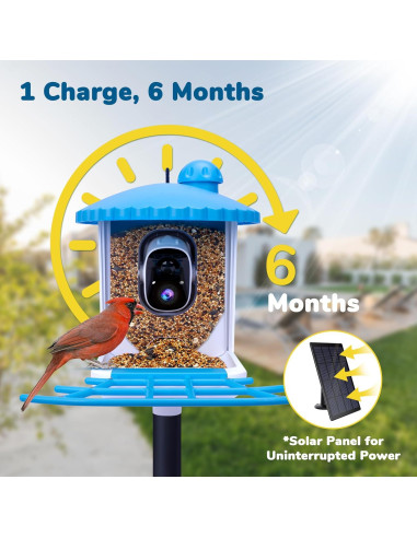 Comedero para Aves Twesync con Cámara 2K HD y Panel Solar