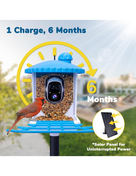 Comedero para Aves Twesync con Cámara 2K HD y Panel Solar