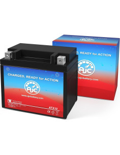 Batería AJC Powersports 12V 3.72kg Modelo AJC-PS-ATX10 2