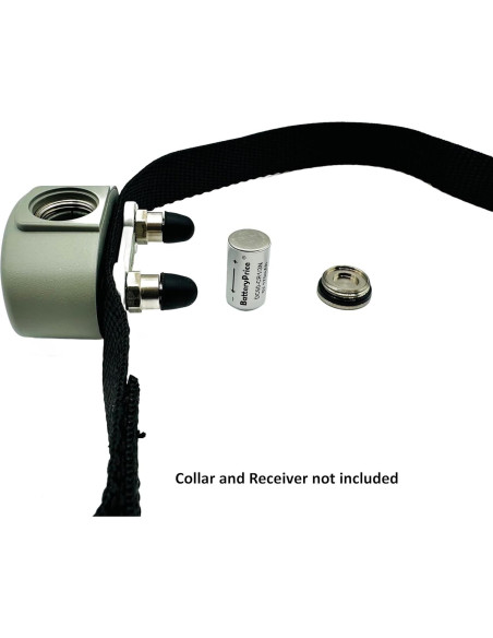 Batería de 6V Lithium BatteryPrice para Collares Pet Stop