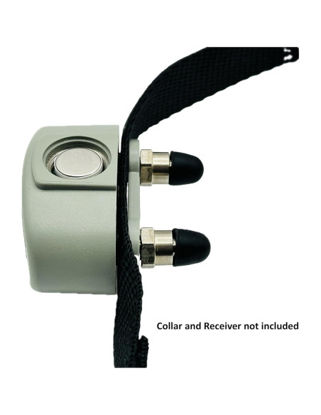 Batería de 6V Lithium BatteryPrice para Collares Pet Stop