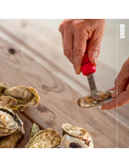Cuchillo para abrir ostras BUBBA con hoja de acero inoxidable 6.35 cm