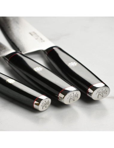 Juego de cuchillos Yaxell Ypsilon SG2, 3 piezas con soporte