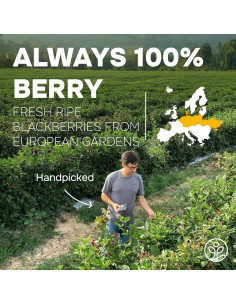 Polvo de Mora Jungle Powders 99g Superalimento Liofilizado 2