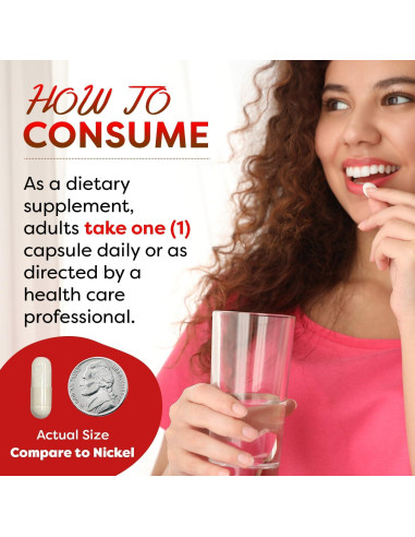 L-Arginina 500mg Mejores Naturales 250 Cápsulas Suplemento