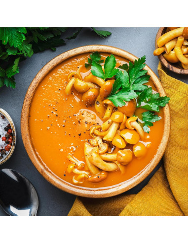 Polvo de Zanahoria 227g Ingredientes Orgánicos Puros Sin Aditivos