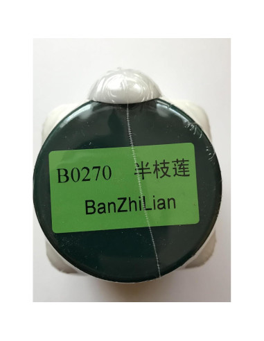 Gránulos Concentrados de Calavera Espinosa Ban Zhi Lian 100g