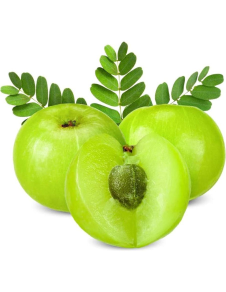 Polvo de Fruta Amla Orgánico 200g Dr. Herbalista - Apoyo Inmunológico