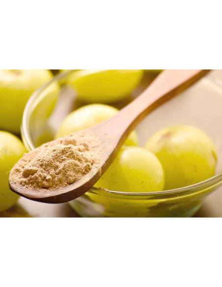 Polvo de Fruta Amla Orgánico 200g Dr. Herbalista - Apoyo Inmunológico