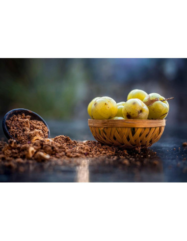Polvo de Fruta Amla Orgánico 200g Dr. Herbalista - Apoyo Inmunológico