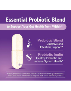 Suplemento Probiotico 21st Century Acidophilus 300 Cápsulas 2