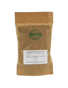 Té Herbal Hoja de Plátano Inglés Herba Orgánica 100g