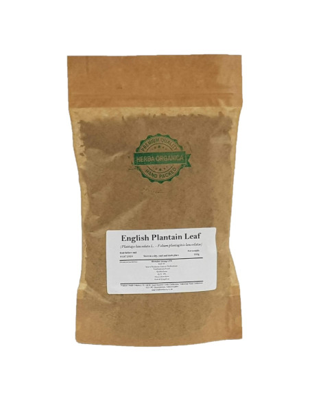 Té Herbal Hoja de Plátano Inglés Herba Orgánica 100g