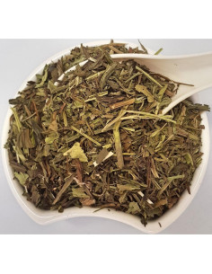 Té Herbal Hoja de Plátano Inglés Herba Orgánica 100g 2