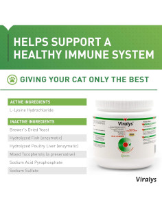 Vetoquinol Viralys Polvo L-Lisina 100g para Gatos y Gatitos 2