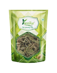 YUVIKA Brahmi Booti 100g - Bacopa Monnieri - Gotu Kola