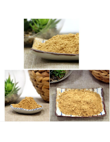 Polvo de Extracto de Raíces de Sello de Salomón Goodlife 300g