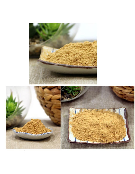 Polvo de Extracto de Raíces de Sello de Salomón Goodlife 300g