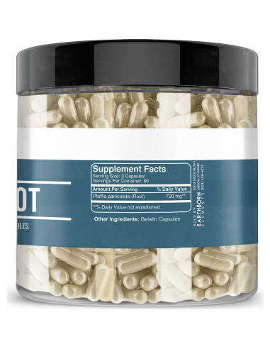 Cápsulas de Raíz Suma Tierra Nacida 200 Unidades Pura Sin Aditivos