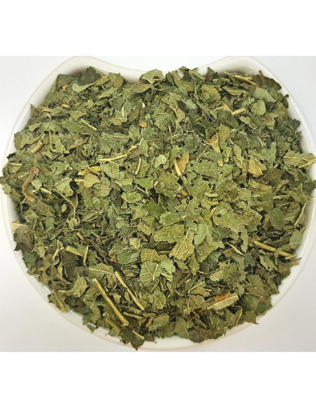 Té Herbal de Hoja de Grosella Negra Health Embassy 100g