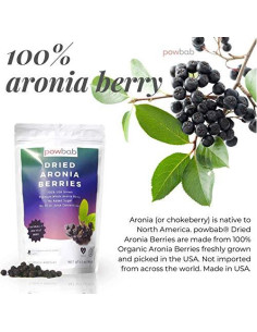 Bayas de Aronia Secas powbab 184 g Orgánicas de EE. UU. 2