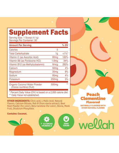 Wellah Polvo de Electrolitos Durazno Clementina 50 Porciones