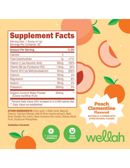Wellah Polvo de Electrolitos Durazno Clementina 50 Porciones
