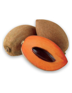 Fruta Mamey Sapote Orgánica Tropical Importers - 3 Unidades Frescas