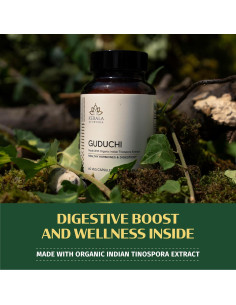 Cápsulas Herbales Guduchi Kerala Ayurveda - 60 Unidades 2