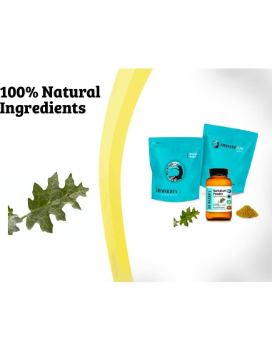 Polvo de Kantakari Dr Wakde 100g - Puro y Vegano