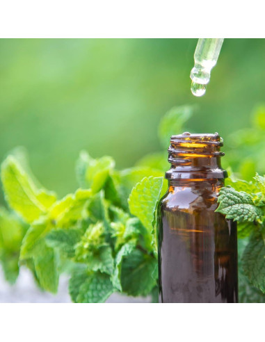 Cápsulas de Hojas de Menta Earthborn Elements 200 Unidades