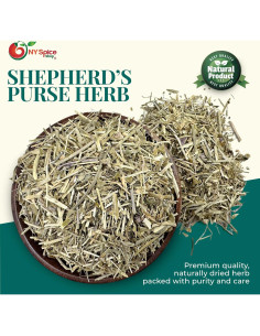 Hierba de Monedero del Pastor NY Spice Shop 113.4g - Capsella Bursa-Pastoris 2