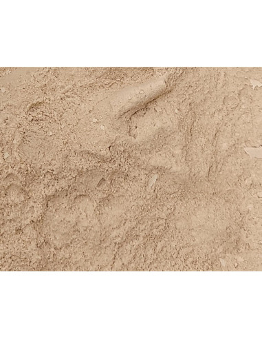 Extracto de Quillaja en Polvo 100% Chemsavers 100g