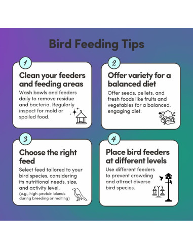 Alimento Orgánico para Palomas de Carreras Mycelium 2.27 kg - Alta Proteína y Vitaminas