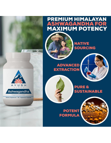 Cápsulas de Ashwagandha Ayush Herbs 500mg - 120 Unidades