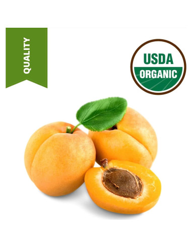 Aceite de Hueso de Albaricoque Orgánico SULU 3.785L Prensado en Frío