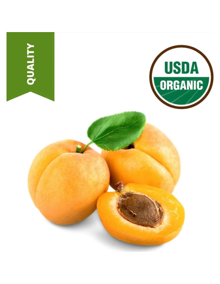 Aceite de Hueso de Albaricoque Orgánico SULU 3.785L Prensado en Frío