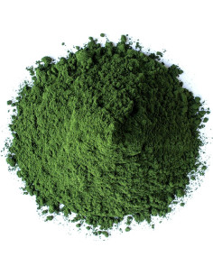Polvo de Chlorella Food to Live 0.45 kg - Superalimento Vegano 2