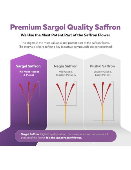 Extracto de Azafrán Orgánico Triquetra Health - 30 Porciones